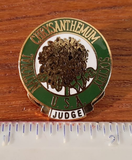 The NCS Judges Pin