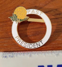 NCS Past-president-pin