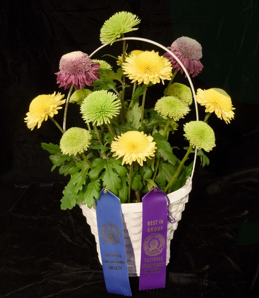 Basket - ANDERTON-JILL ANDERTON-ANTHOS-YOKO ONO_