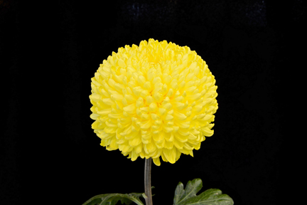 Port Stanley - Class 5