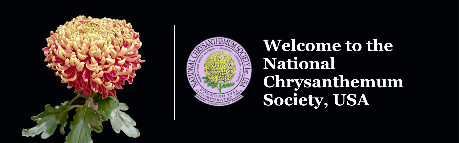 NCS Header Slide 1
